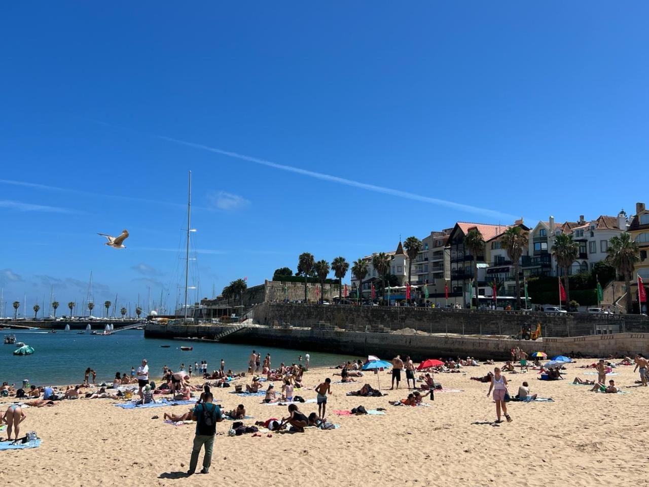 Dream In - Checkinhome Cascais